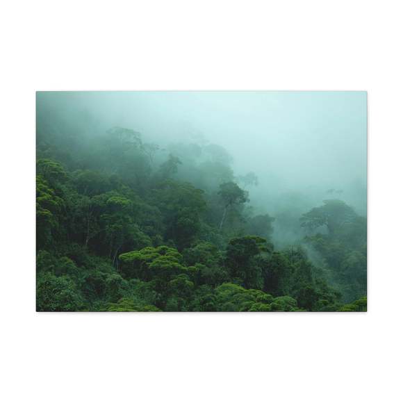 Dark Misty Forest Nature Wilderness Photography Canvas Wall Art for Home Decor R